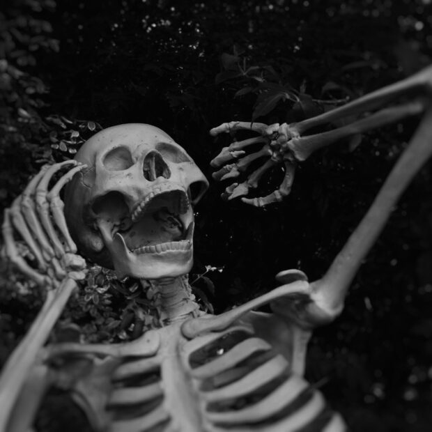 Horror’s Having Quite A Moment