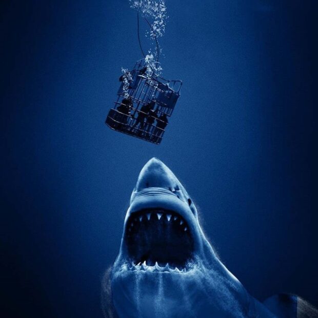 Cage Dive (2017) Review