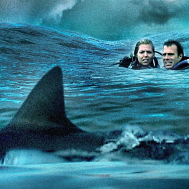 Open Water (2003) Review