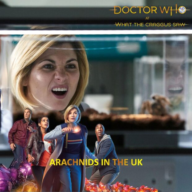 Doctor Who: Arachnids In The UK Review