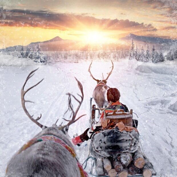 All Aboard! The Sleigh Ride (2015) Review