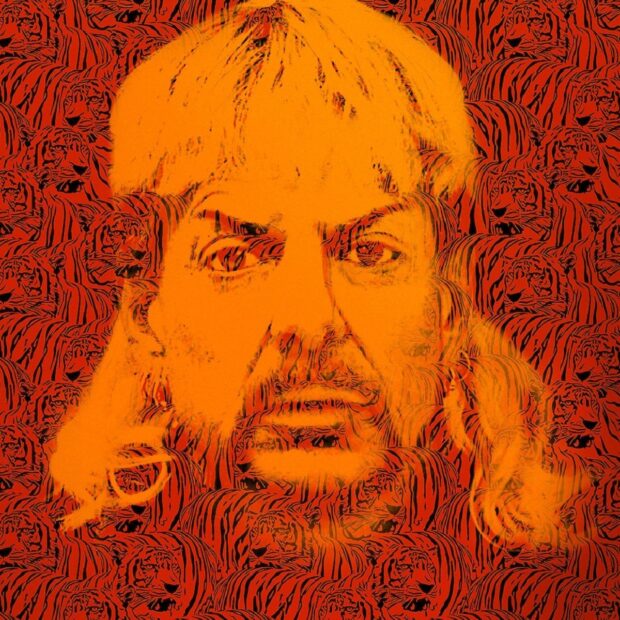 Tiger King: Murder, Mayhem & Madness (2020) Review