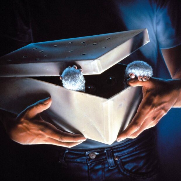 Gremlins (1984) Review