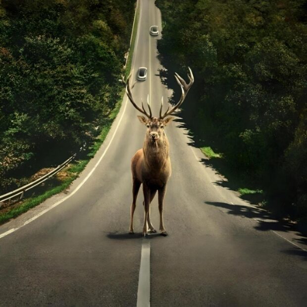 Leave The World Behind (2023) Review